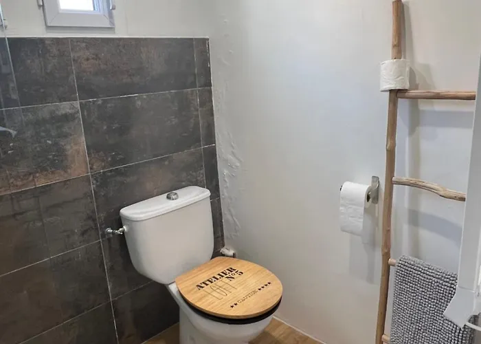 Prázdninový dům Maison Benoit Avec Terrasse Et Jardin - Parking Gratuit *